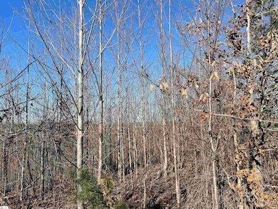 00 Welcome Church Rd, Westminster, SC 29693 - photo 4