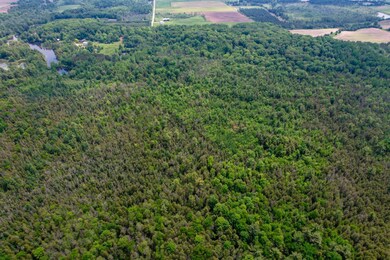 E5254 E Circle j Rd, Marion, WI 54950 - photo 6