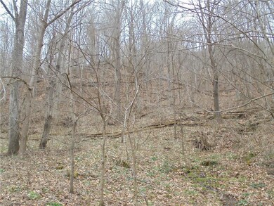 0 Crow Ln unit 3372691, Burnsville, NC 28714 - photo 7