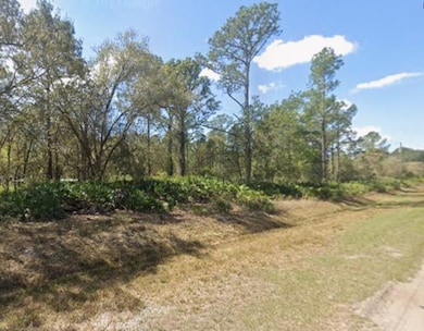 431 Carteret Rd, Georgetown, FL 32139 - photo 6