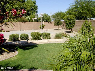 Back Yard 1