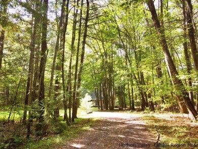 785 County Route 2, Accord, NY 12404 - photo 2