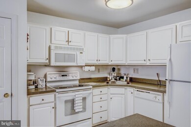 11431 Manklin Creek Rd unit 8F1, Berlin, MD 21811 - photo 4