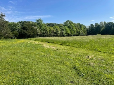 307 Henderson Rd, Shelbyville, TN 37160 - photo 2