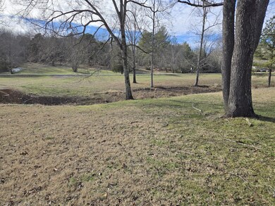 Creek in front of The property