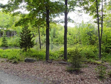 - Bayley Hazen Rd, West Danville, VT 05873 - photo 3