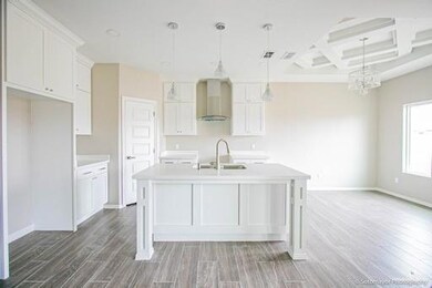 817 Canela Dr, Alamo, TX 78516 - photo 5