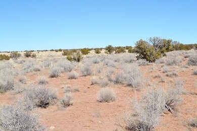 TBD Owl Road 007