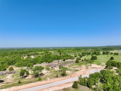 Lot 14 Dubois Rd, Poolville, TX 76487 - photo 5