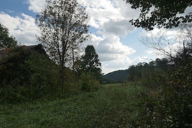 0 Tbd Bryson Cove Rd unit LotWP001, Abingdon, VA 24210 - photo 7