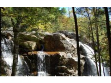 8 Millbrook Rd unit 8-9-5, Thornton, NH 03285 - photo 7