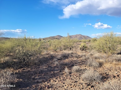 48111 N 7th Ave, New River, AZ 85087 - photo 4