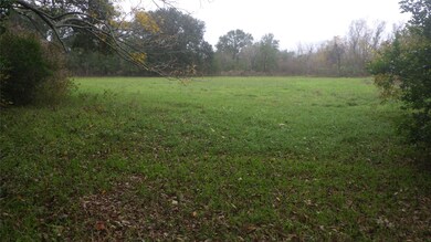 521 Fm 521, Brazoria, TX 77422 - photo 4