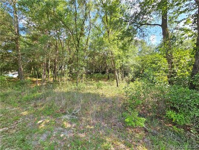 TBD SW 93RD PL, DUNNELLON, FL 34432