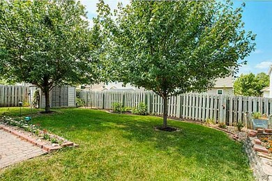 Yard/Garden.