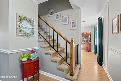 1120 Buxton Dr, Knoxville, TN 37922 - photo 4