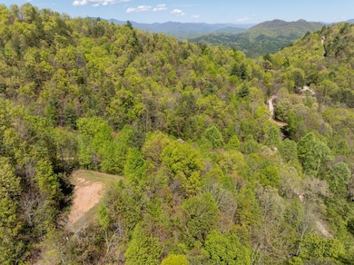 TBD Shell Stand Rd, Robbinsville, NC 28771 - photo 6