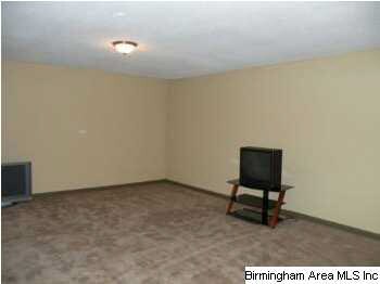 Large Basement Den