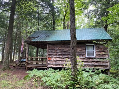 0 Fisherman S Bridge Rd unit S1636074, Williamstown, NY 13493 - photo 4