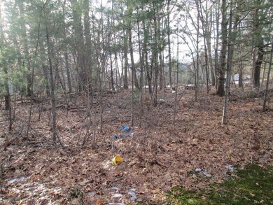 586 Common St, Walpole, MA 02081 - photo 2