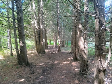 Lt2 County Highway Y, Trenton, WI 53095 - photo 4