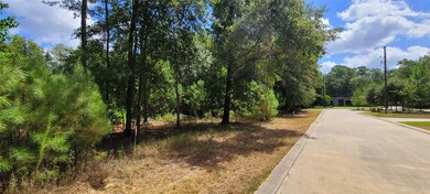 11124 Sunset Ave, Magnolia, TX 77354 - photo 6