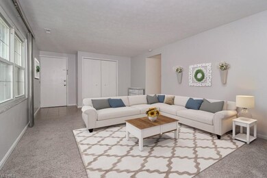 Virtually Staged to show off the large living room