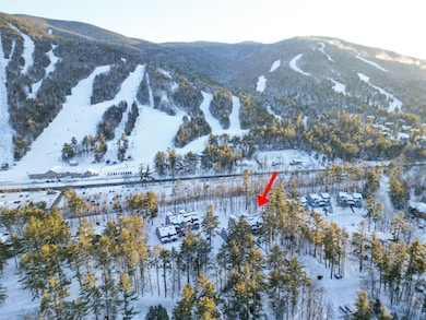 10 River Run Dr unit G, Bartlett, NH 03812 - photo 2