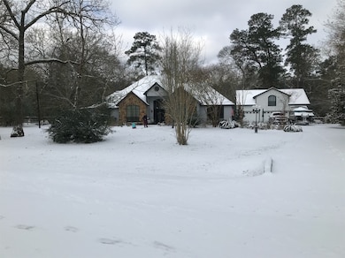 Snowy Exterior