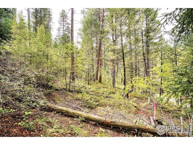 10862 Twin Spruce Rd, Coal Creek Canyon, CO 80403 - photo 3