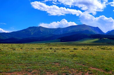 0 Coleman Ct S unit Lot 7 11096438, Westcliffe, CO 81252 - photo 4