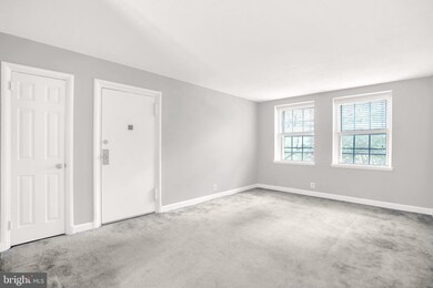 2932 S Columbus St unit B1, Arlington, VA 22206 - photo 6