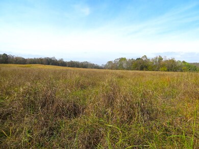 farm for sale in mammoth spring arkansas