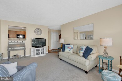 9609 Haven Farm Rd unit E, Perry Hall, MD 21128 - photo 6