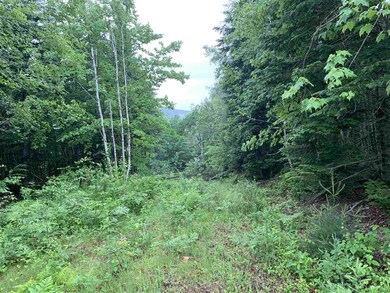 Route 3 Hwy, Columbia, NH 03576 - photo 5