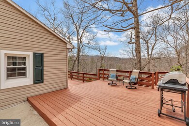 161 Rabbit Hill Ln, Winchester, VA 22603 - photo 3