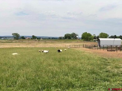 12751 Road 25, Cortez, CO 81321 - photo 6