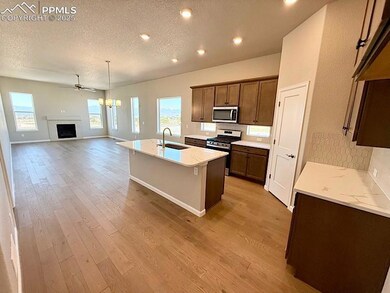 9463 Jollity Point, Colorado Springs, CO 80924 - photo 5