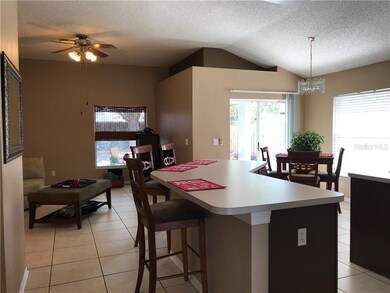 1533 Scotch Pine Dr, Brandon, FL 33511 - photo 5