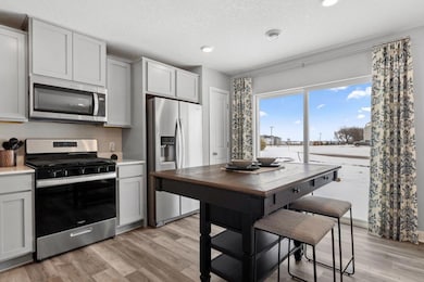 17553 Driscoll Place, Lakeville, MN 55024 - photo 6