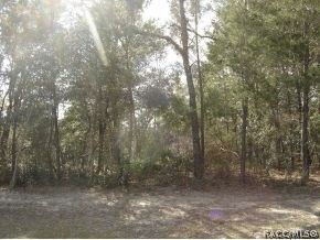 wooded back view