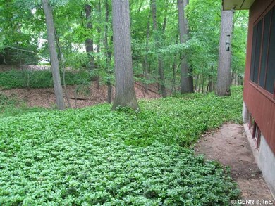 Exterior Back. Lots of trees and ground cover -no 