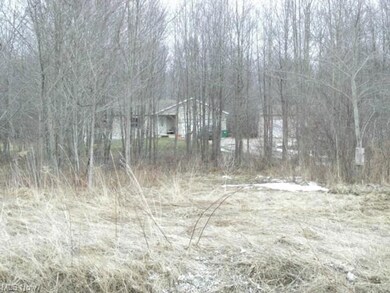 View of home from the road.  What privacy!