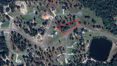 0 SE 64th St unit 24160643, Lake Butler, FL 32054 - photo 5