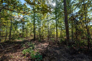 3789 Hwy 140 NE, Rydal, GA 30171 - photo 5