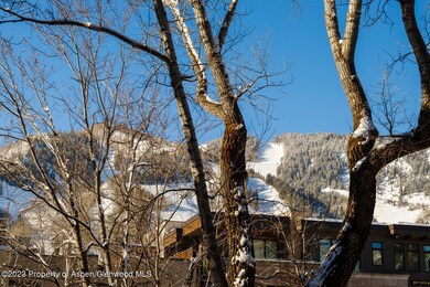 600 E Main St unit 210, Aspen, CO 81611 - photo 6