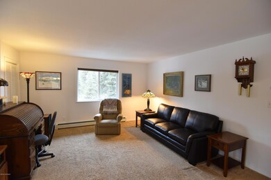 Spacious Living Room