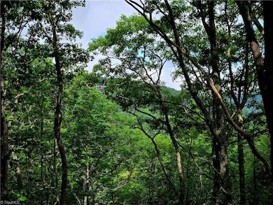 TBD Red Fox Trail, Boone, NC 28607 - photo 2