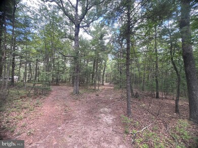 0 Supinlick Ridge Rd unit VASH2012594, Mount Jackson, VA 22842 - photo 5