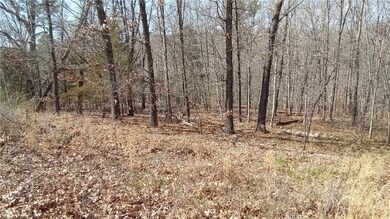 3 Bolton Ln, Bella Vista, AR 72715 - photo 5